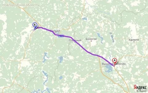 Волочек бологое