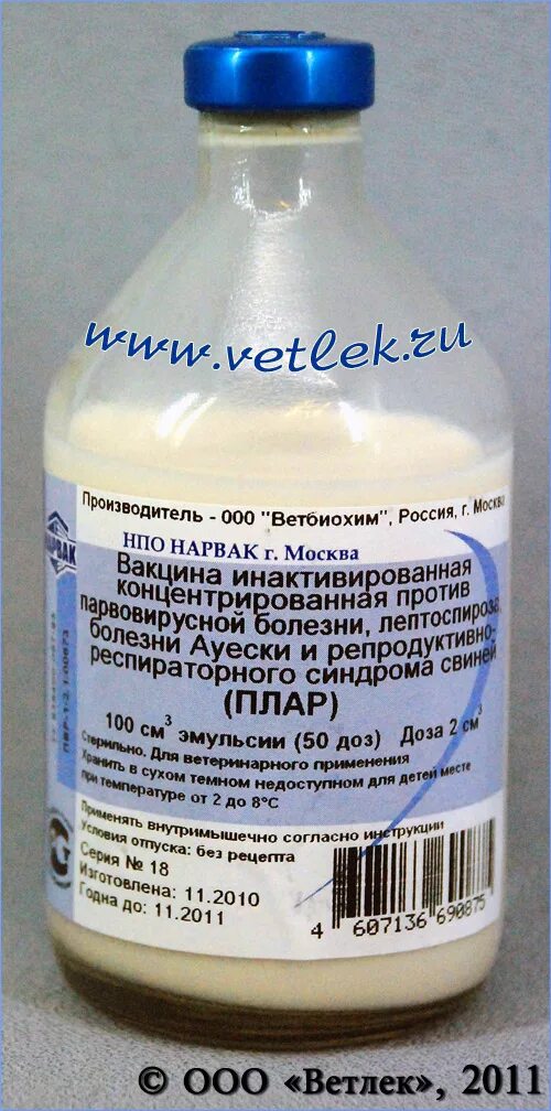 Вакцина ящурная. РРСС вакцина для свиней. Вакцина против лептоспироза свиней. Вакцина поливалентная ВГНКИ против лептоспироза животных. Сыворотка от лептоспироза КРС.