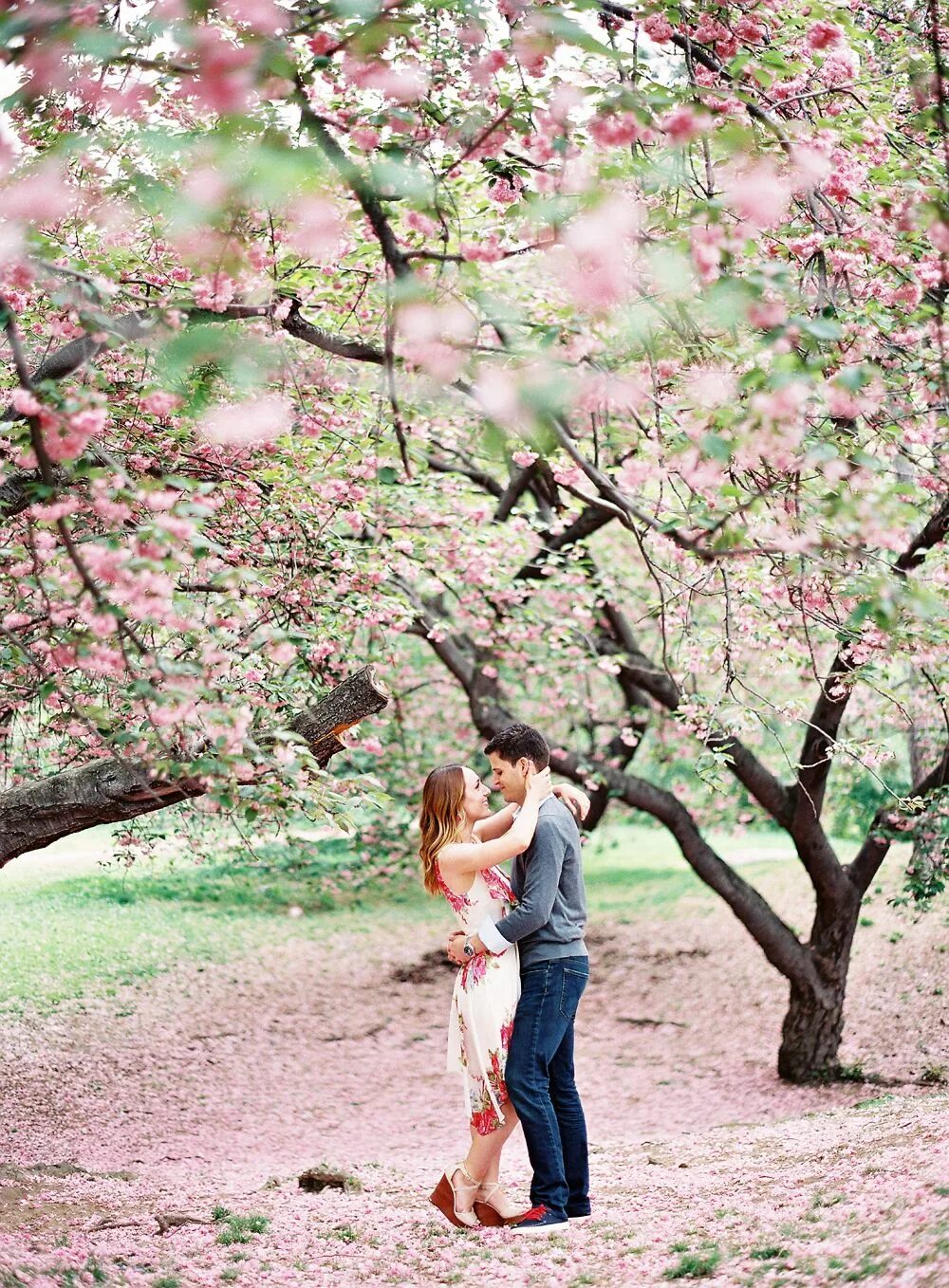 Пара яблонь. Фотосессия в цветущем саду. Фотосессия в цветущих садах. Фотосессия в цветущих деревьях.