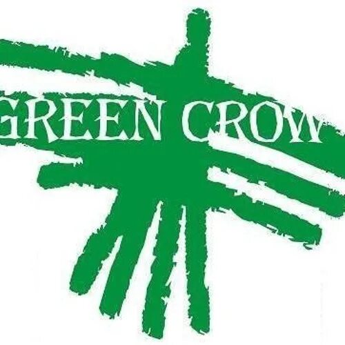 Кот пришёл назад green crow текст. Green crow. Зеленая ворона группа. Пауза green crow. Зеленая ворона песни.