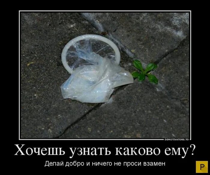 Даже казалось бы. А казалось бы при чём здесь украина?. казалось бы мем. казалось при чем тут украина. я здесь не при чем.
