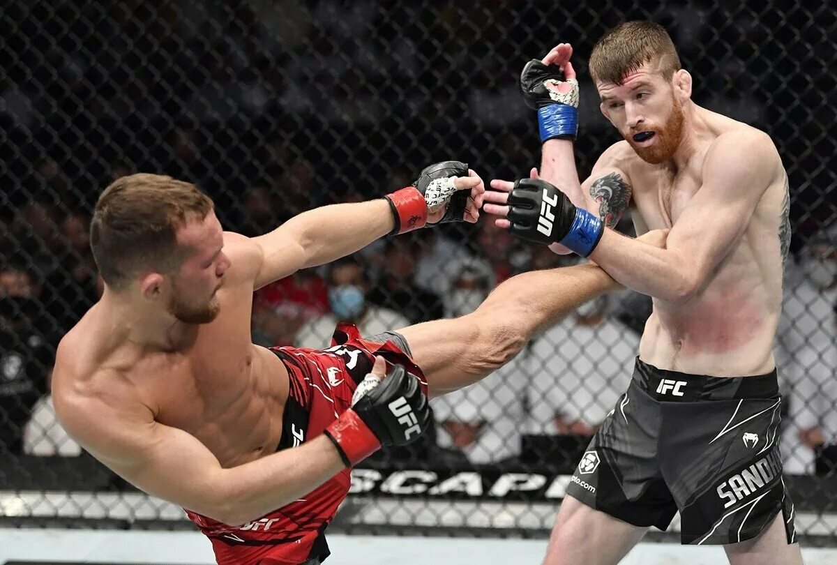 Ufc 299 видео боев. Ufc 299 видео боев