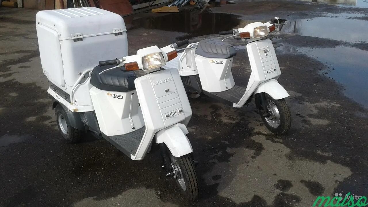 Gyro up. Honda Gyro up. Honda Gyro up грузовой. Honda 3 колесный мопед. Скутер Honda Gyro up.