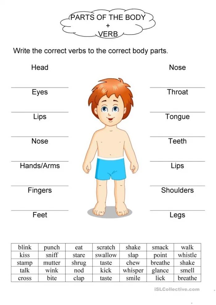 This is my body. Body Parts задания. Части тела Worksheets. Части тела на английском Worksheets. Части тела на английском задания.