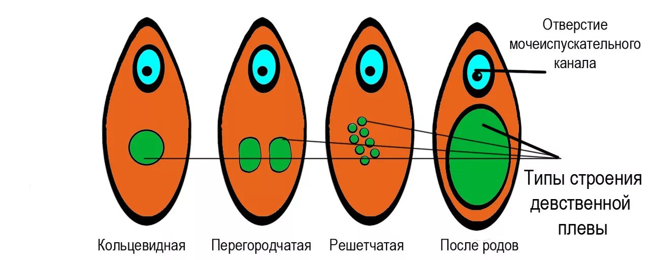 Через сколько дырок