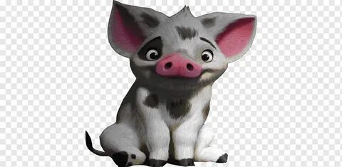 Pua