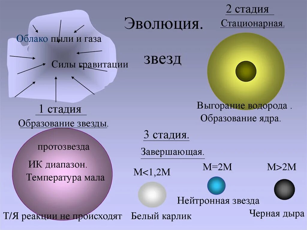 Этапы эволюции звезд схема. Первый этап эволюции звезд. Эволюция звёзд её этапы и конечные стадии. Стадии развития звезды. 1 этап звезда