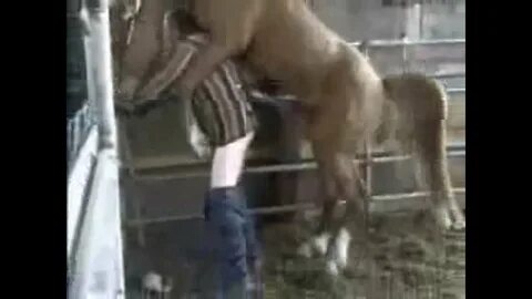 Slideshow mujer tiene sexo con un caballo.