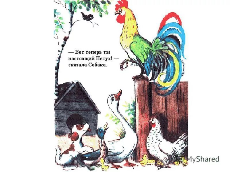 про петуха и краски. про петуха и краски. сутеев в. петушок сутеев. в.