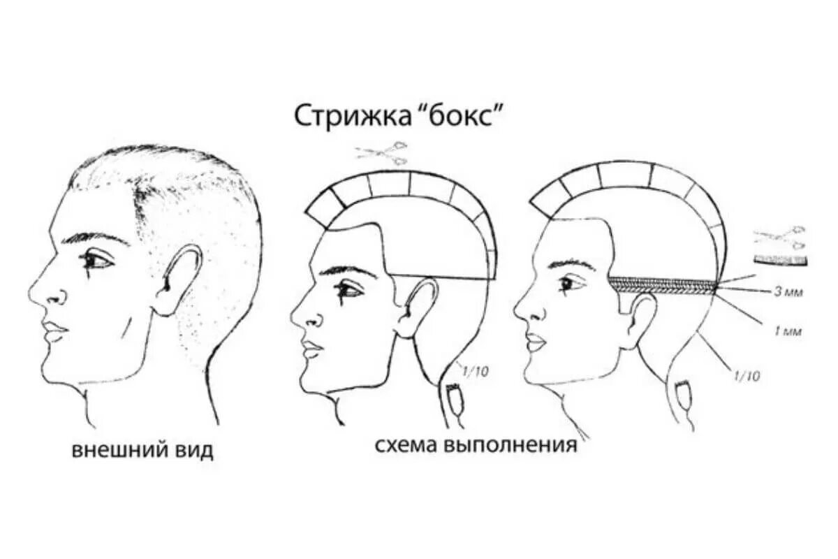 Технология стрижки бокс и полубокс машинкой. Схема стрижки полубокс машинкой пошагово. Схема стрижки бокс и полубокс. Схемы мужских стрижек бокс и полубокс. Как стричь мужские стрижки для начинающих