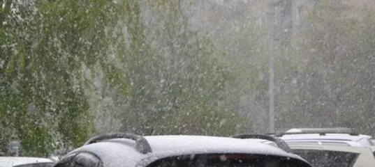 3 апреля сильный ветер. Сильный ветер со снегом. Сильный ветер в Бердске. Дождь в Бердске. Челябинск 3 Тракторосад дождь с градом 6 июля.