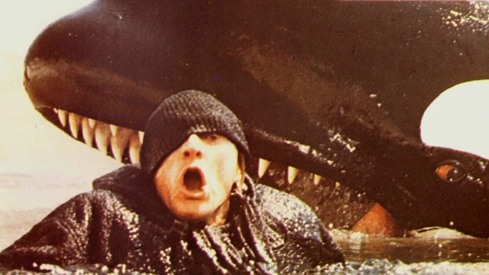 Касатки документальный. Смерть среди айсбергов / Orca: the Killer Whale (1977).