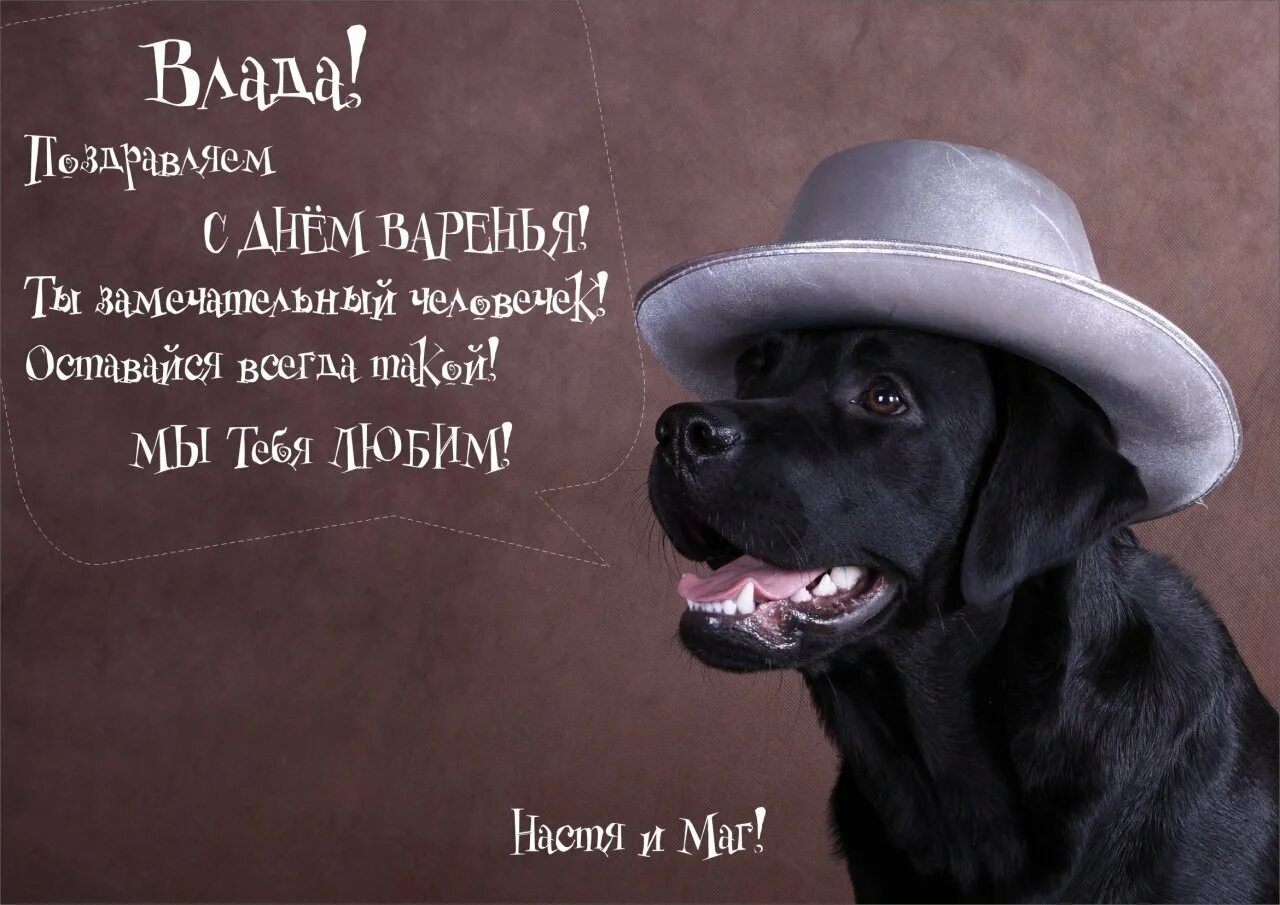 С днем рождения влад мем С днем рождения, Владислав! ГАУ МО "ЦСП № 2"