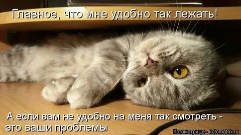 Когда вам это будет удобно