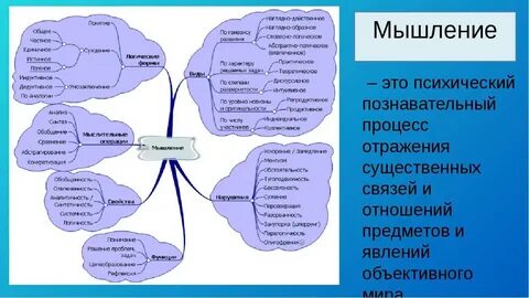 Познавательный интерес явление многостороннее вариант 26