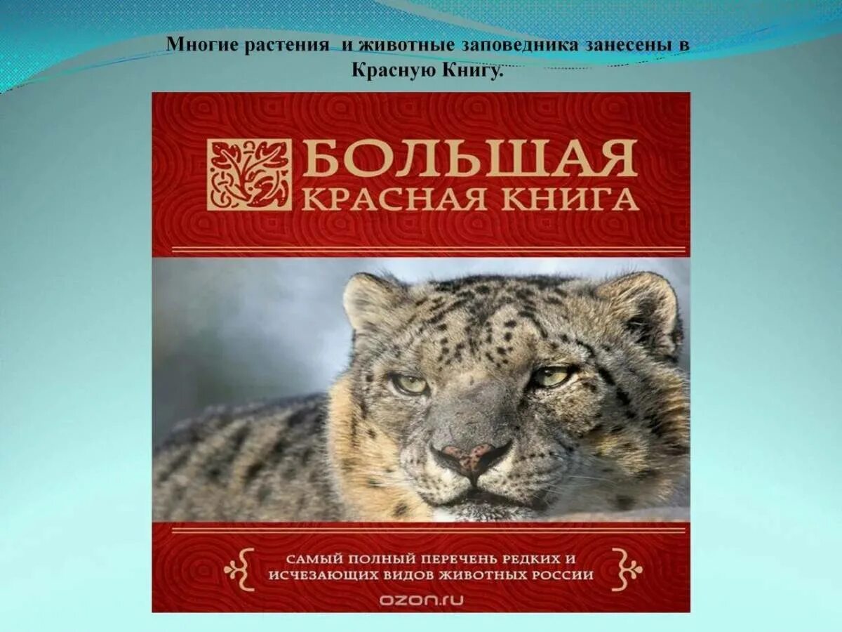 Обитатель красной книги