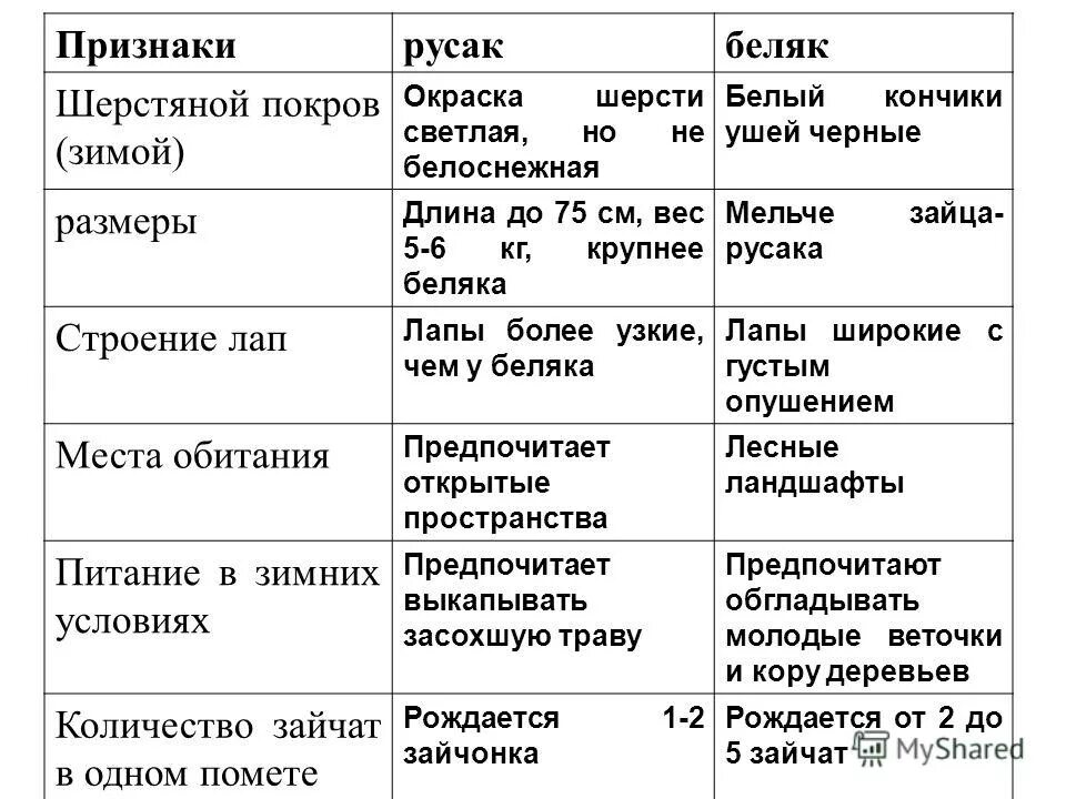 Беляк и русак отличия и сходства. Заяц-беляк и заяц-русак сходства и различия. сравнение зайца белка и зайца русака. сходство и отличие зайца беляка и зайца русака. сравнение зайца-беляка и зайца-русака сходство и различия.