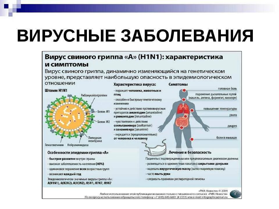 Современное гриппа. Вирусные инфекционные заболевания. Вирусы и инфекции в организме.. Схема вирусные инфекции.