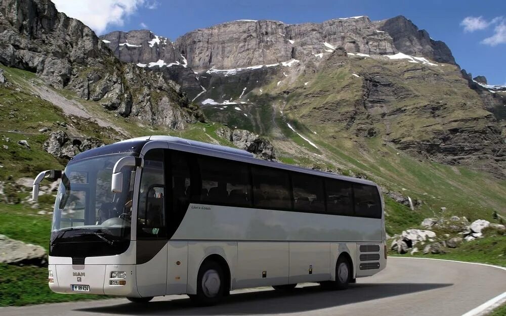 Автобусные туры из ижевска. Автотур горный Алтай. Автобус. Автобусный тур. Экскурсия на автобусе.