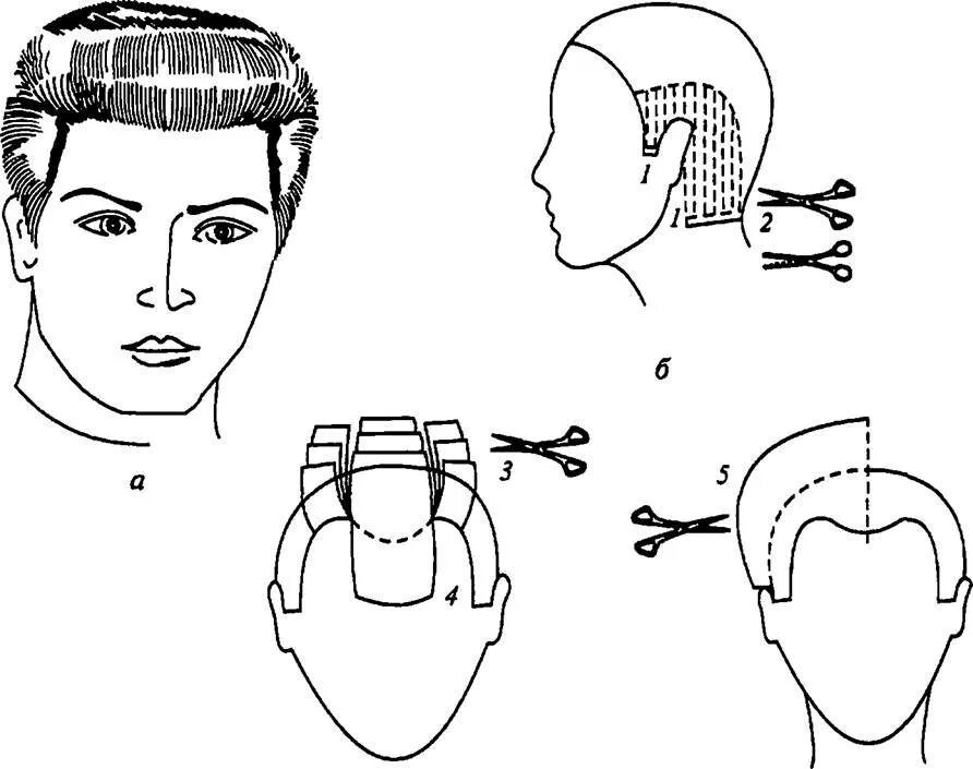 Технология выполнения мужской стрижки. Канадка мужская стрижка схема выполнения. Мужская стрижка канадка классическая схема. Технология стрижки Гарсон. Технология стрижки Гарсон схема.