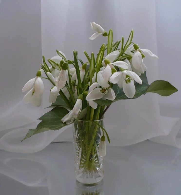 весенний букет подснежников. красивый букет из подснежников. терра фьорри подснежники. букет подснежников. весенний букет подснежников.