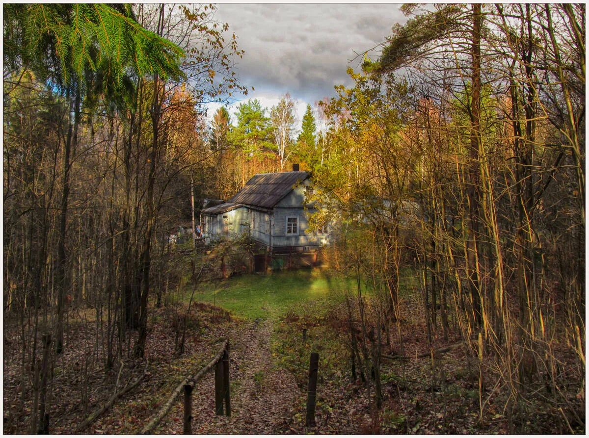 "лесная хижина подмосковье". Деревянный домик в лесу. Лог кэбин. В лесу недалеко от дома лесничего. Дом лесника сибиряк.