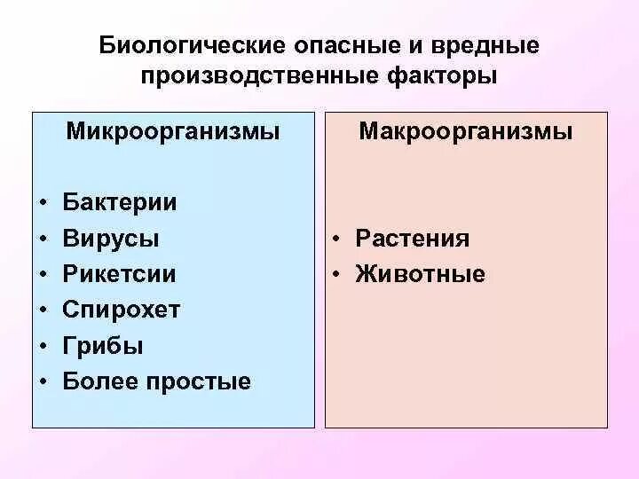 Вредные биологические факторы условий труда. Вредные биологические факторы условий труда