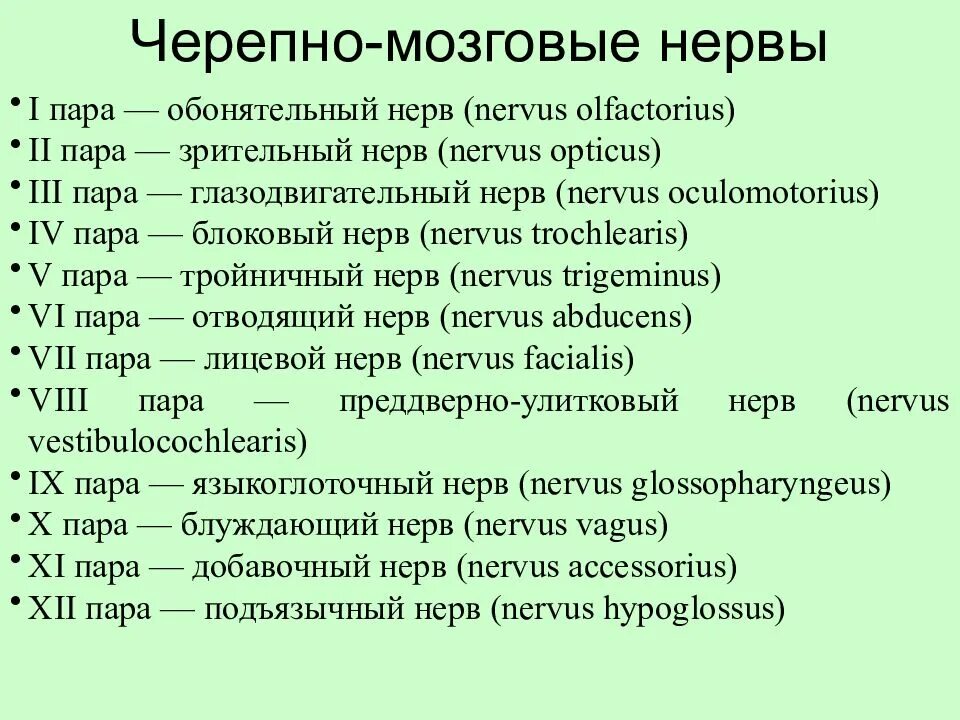 Пара черепных нервов анатомия. 12 Пар черепных нервов таблица. 12 Пар черепно мозговых нервов таблица. 12 Пар черепно мозговых нервов таблица неврология. Черепно-мозговые нервы 12 пар таблица.