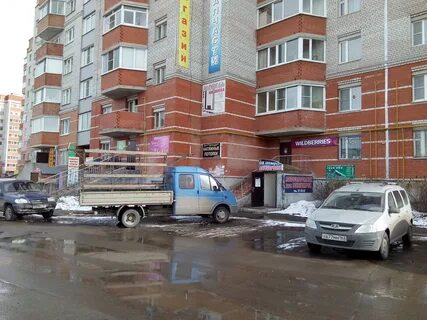 Вологда фиш