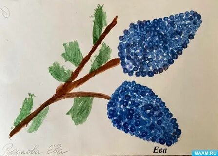 Рисование сирени ватными