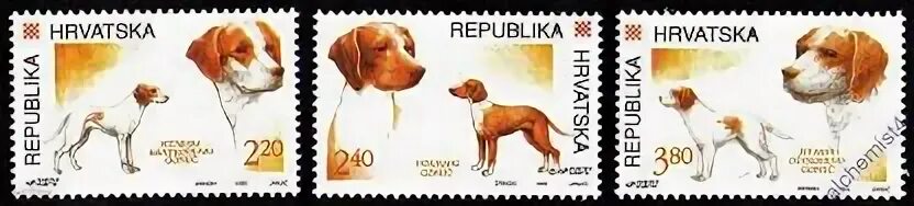 филателия,чистые марки,Хорватия,MNH,Породы собак 