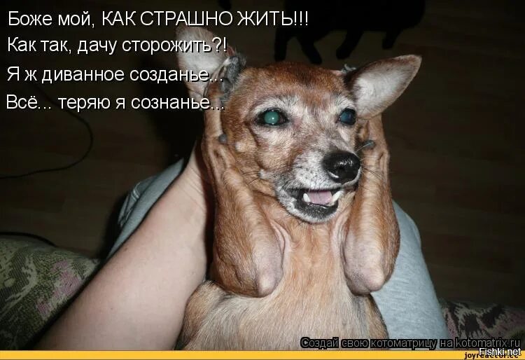 Завянешь как сук