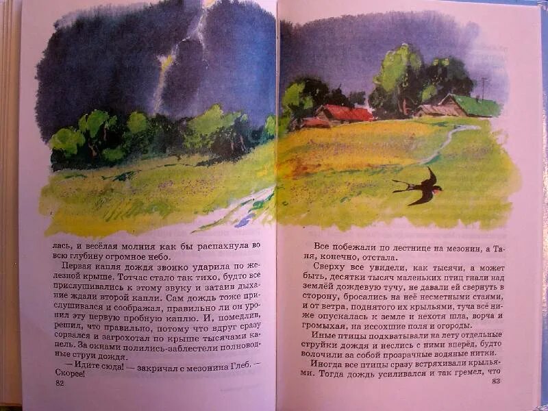 Паустовский о Дожде. Сивый мерин Паустовский. Виды дождей к.Паустовского. Паустовский капли дождя.