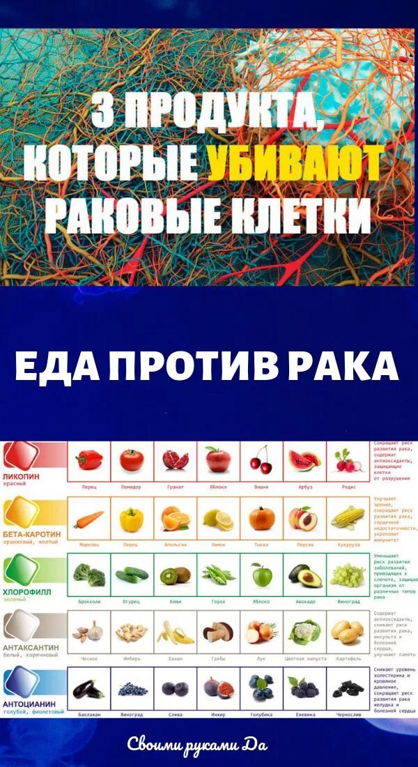Продукты от раковых клеток. Продукты для профилактики онкологических заболеваний. Продукты для профилактики онкологических заболеваний. Продукты полезные от онкологии. Продукты убивающие раковые клетки в организме человека.