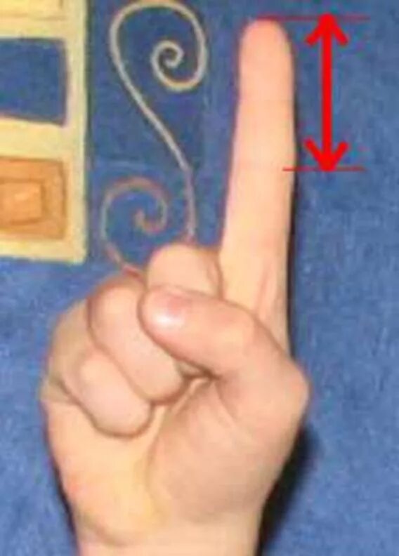 Сколько сантиметров пальцы. Пальцы 9 см. Длина первой фаланги указательного пальца. 2 См на пальцах. Палец 9 сантиметров.
