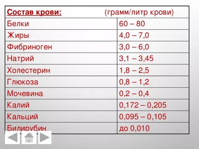 Содержание в крови три. 1 Литр крови. Граммы белков в крови.