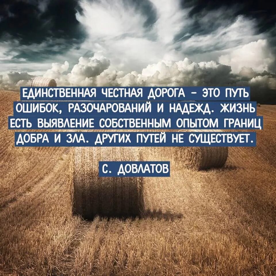 Не смотря на ту дорогу. Высказывания о честности. Цитаты про честность. Цитаты про путь. Фразы про путь.