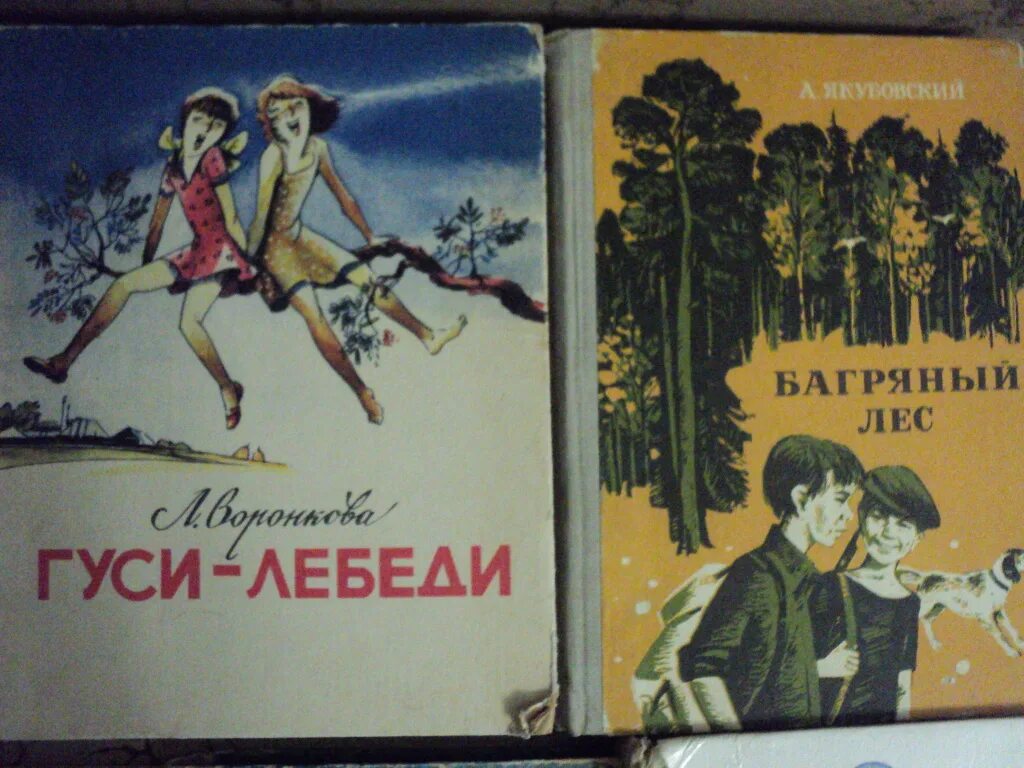 Радость нашего дома кратко. Воронкова гуси лебеди книга. Воронкова гуси лебеди. Воронкова любовь Федоровна«гуси – лебеди»..