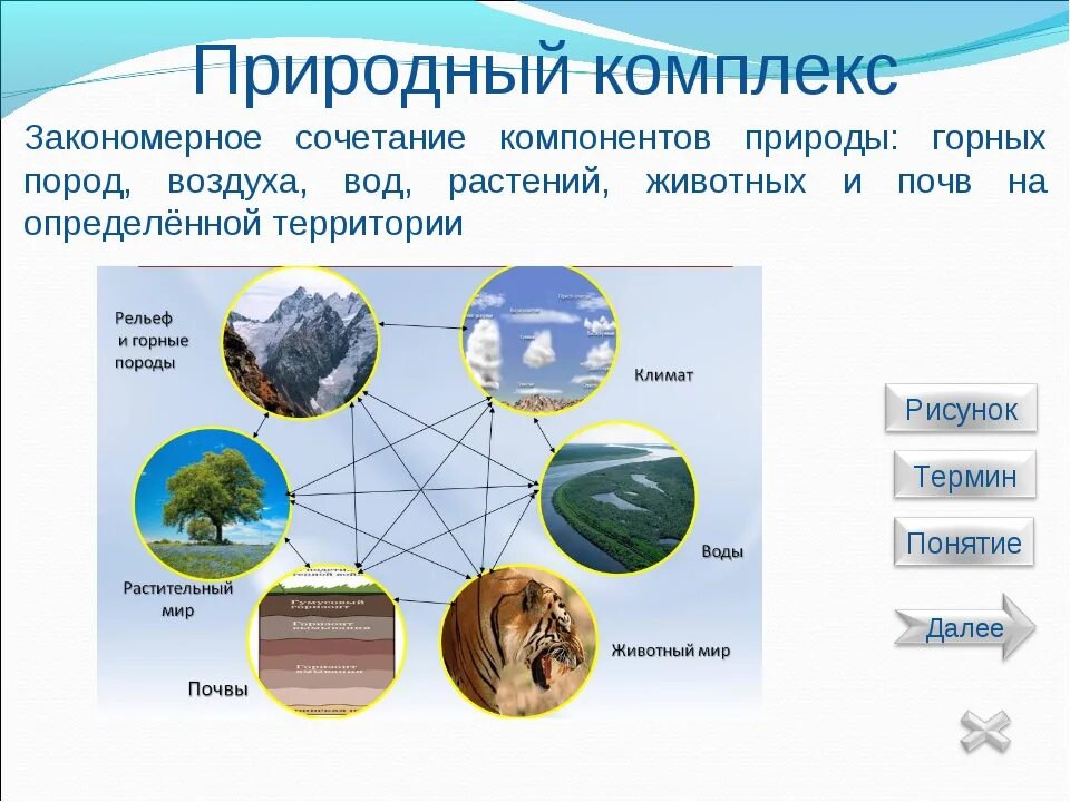 Какие бывают территориальные комплексы география 8 класс. Природные комплексы. Природные компоненты природного комплекса. Схема природного комплекса. Природные комплексы земли.