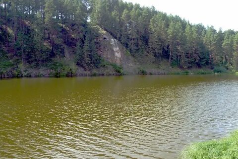 Фото логов