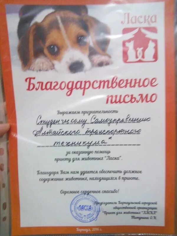 Благодарность от приюта для животных. Благодарность за помощь животным. Благодарность за помощь животным. Благодарность за участие в благотворительной акции для животных. Благодарность за участие в помощи бездомным животными.