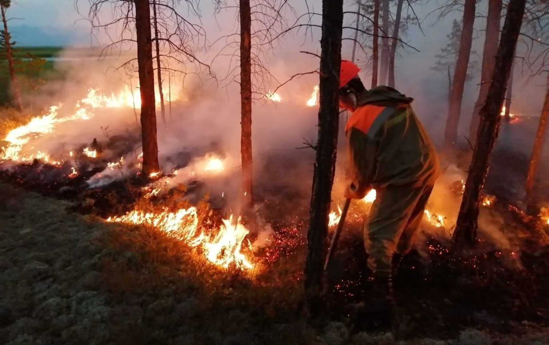 Хвойный пожар. Лесные пожары в Сибири 2020. Пожары в Сибири 2019. Лесные пожары в Сибири (2015). Россия Сибирь 2019 пожар.