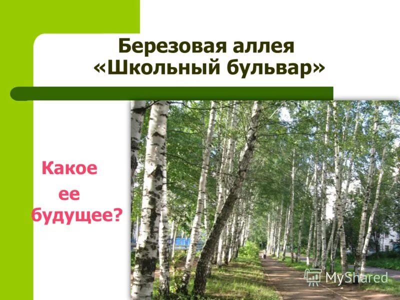аллея берёзовая, д. почта россии иркутск. раменское отделение почты. почта березовая аллея режим работы. берёзовая аллея почта.