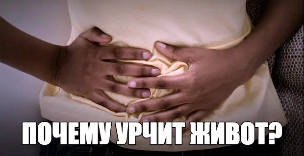 Почему утром урчит живот. Урчание в животе от голода. Животик урчит. Живот девушки урчит. Урчит живот истории.