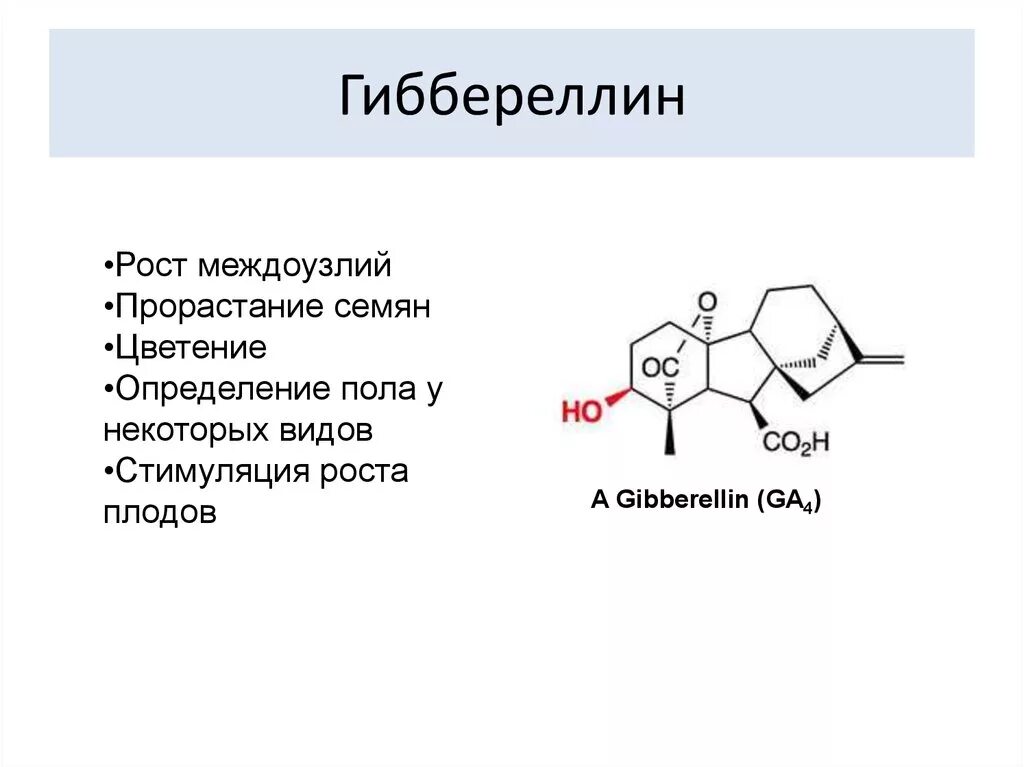 Гиббереллиновой кислоты купить