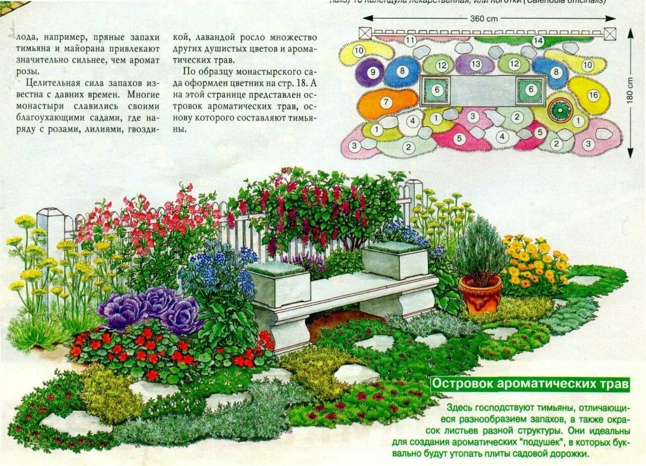 Пряно пахло. Схемы миксбордеров из многолетников непрерывного цветения. Миксбордер из пряных трав схема посадки. Клумба миксбордер многолетники схема. Клумба из пряных трав многолетников схема.