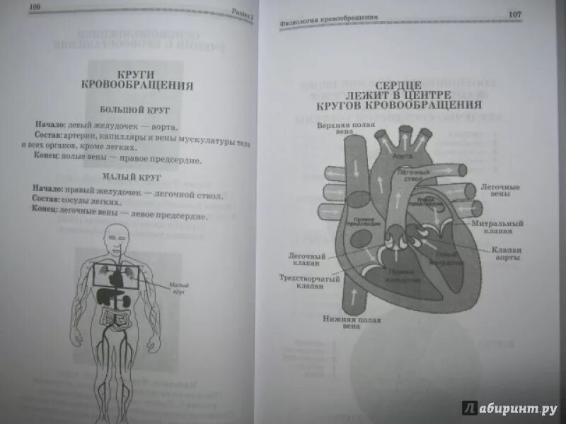 Справочники по биологии анатомия. Резанов биология человека. Биология человека книга антонова. Резанова биология человека в таблицах и схемах. Резанова биология человека в таблицах.