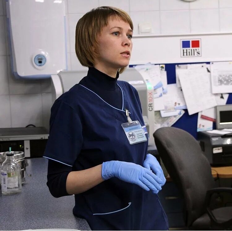 городская ветклиника череповец. ветеринарная клиника на комсомольской чита. ветклиники в орле. ветеринарный магазин. ветеринарная клиника чита комсомольская 40.