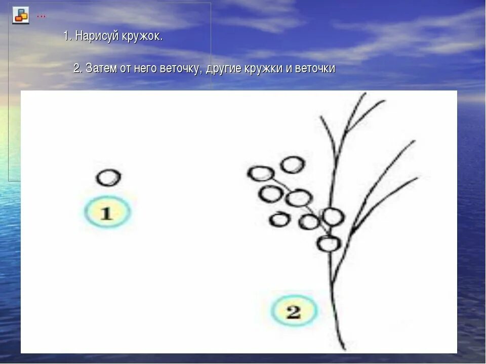 Этапы рисования мимозы. Поэтапное изображение мимозы. Схема веточки мимозы для рисования. Рисование веточки мимозы 1 класс.
