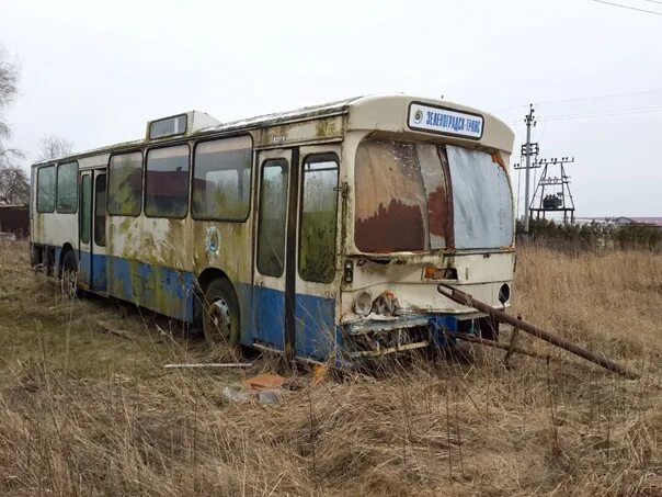 Автобус красный сулин 8. Троллейбус в Припяти. Заброшенный автобус. Списанные автобусы. Заброшенные троллейбусы.